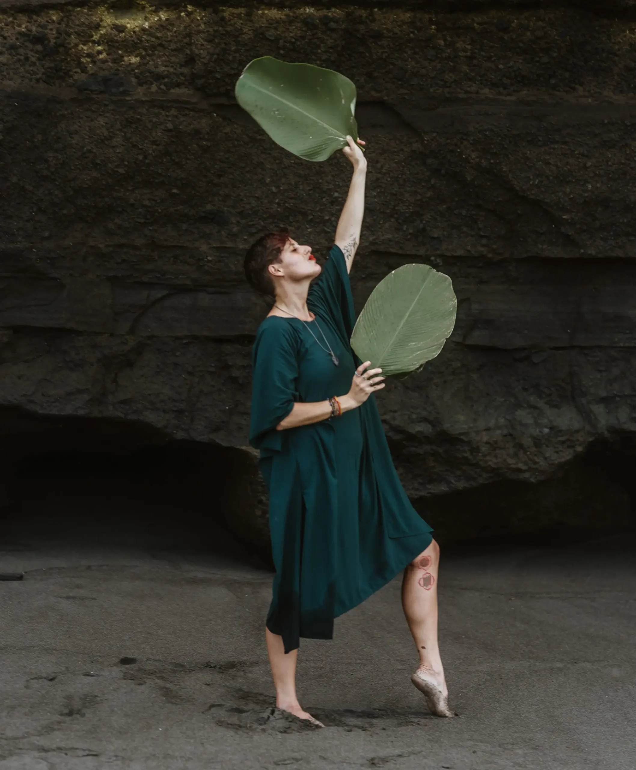 Image Featuring "Article Categories" Page's Section